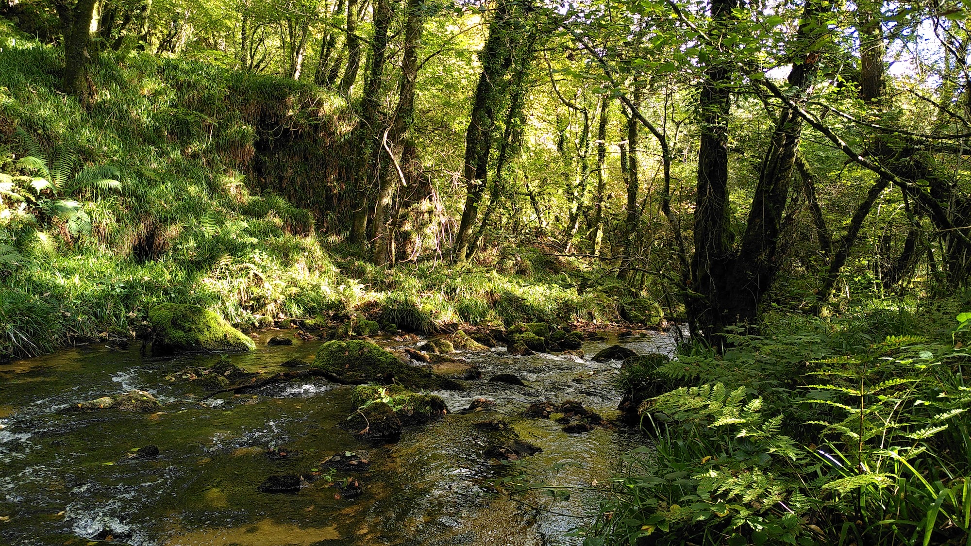 Redefining nature, redefining impact